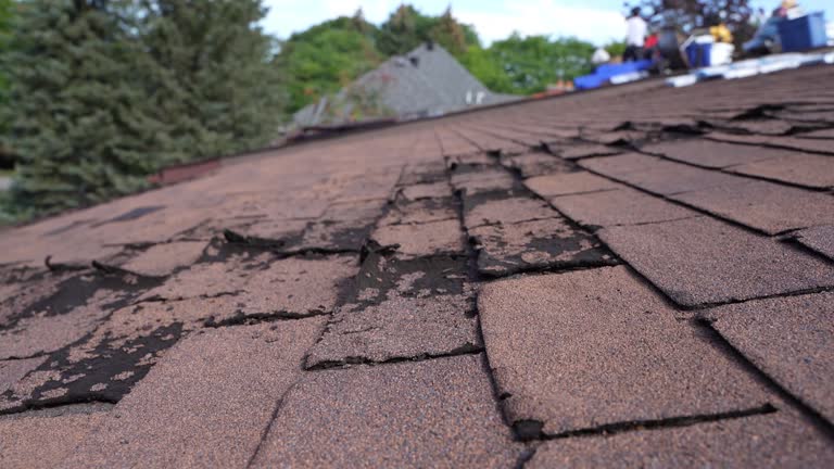 Best Commercial Roofing Services  in Tybee Island, GA